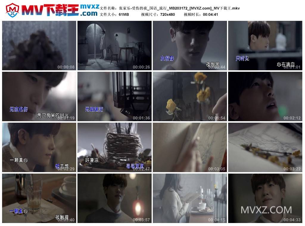 张家乐-受伤的夜_国语_流行_MB203172